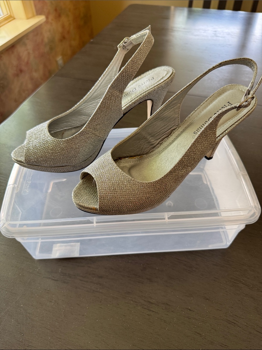 Women’s Silver Evening shoes by Pierre Dumas